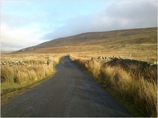 Thumbnail of photo from this article